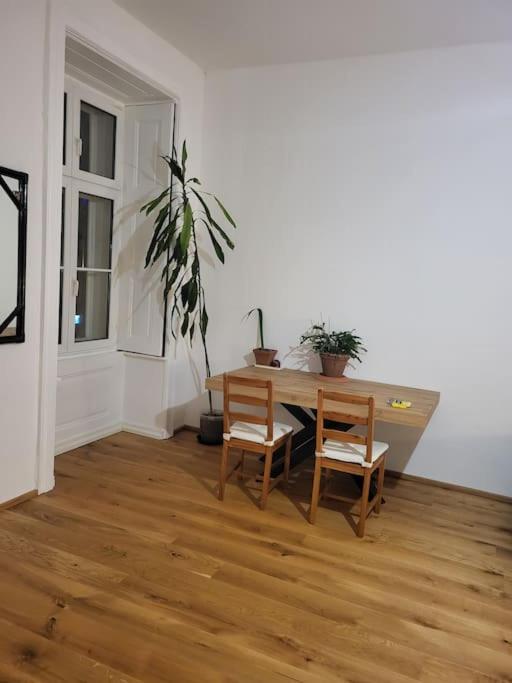 Sehr Zentral Gelegen Appartamento Vienna Esterno foto