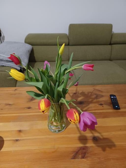Sehr Zentral Gelegen Appartamento Vienna Esterno foto