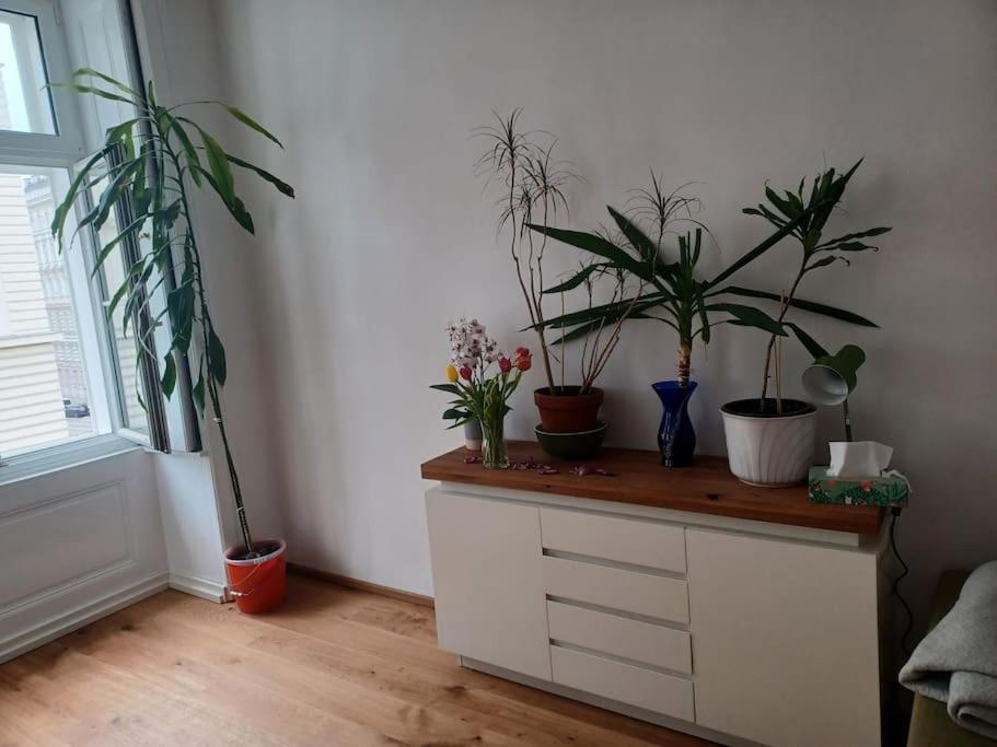 Sehr Zentral Gelegen Appartamento Vienna Esterno foto